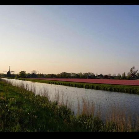 Cozy chalet in Opmeer near Amsterdam&Beach Buitenkant foto