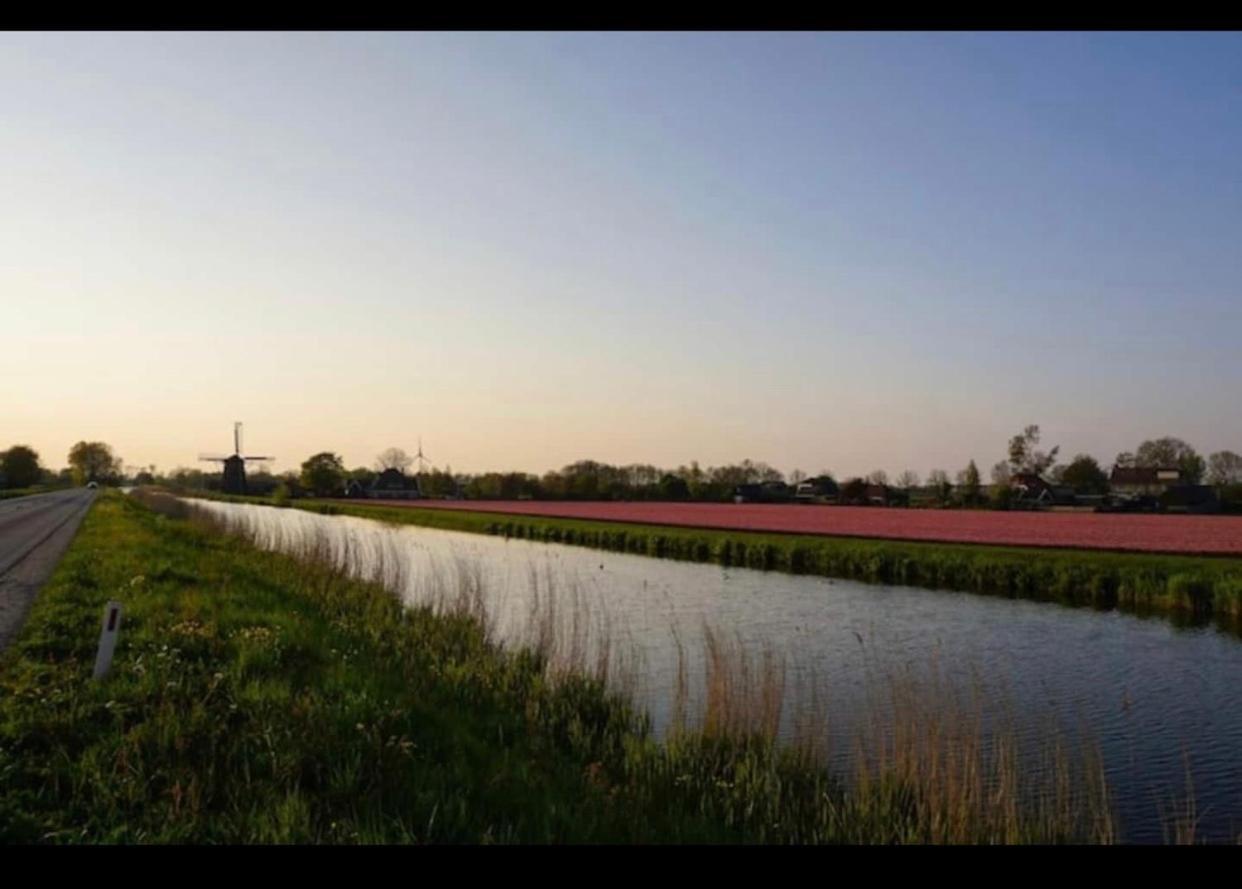 Cozy chalet in Opmeer near Amsterdam&Beach Buitenkant foto